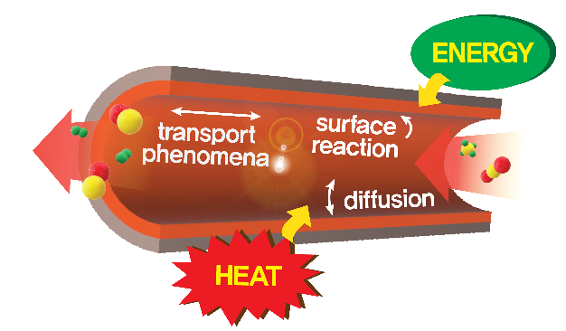 Transport phenomena and surface reaction in a catalytic reactor